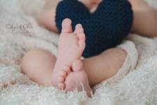 Laura RODRIGUES - OBJECTIF PHOTO