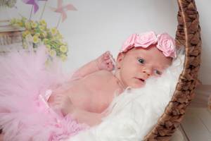 Sebastien JOUBERT - JOUBERT