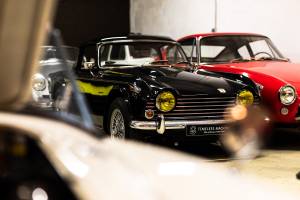 Martin VIZIBLE - Martin Vizible